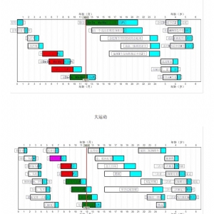 0-6歲兒童發(fā)育篩查法（DDST）丹佛發(fā)育篩查軟件及工具